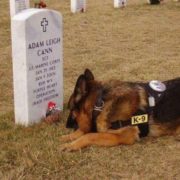 Guardians of Freedom Memorial Inc. Facebook photo.