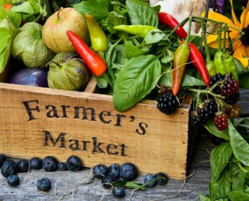 Festival Farmers Market, image from Festival Farmers market
