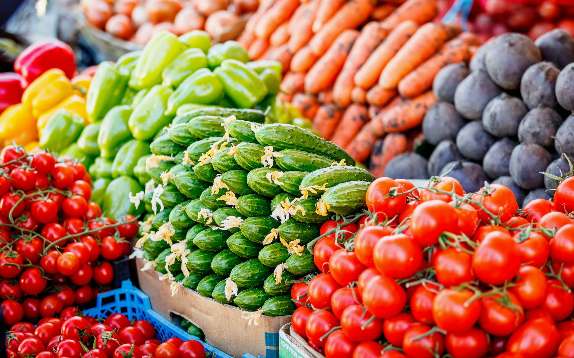 Mohawk Valley Today Upstate NY Farmers Market