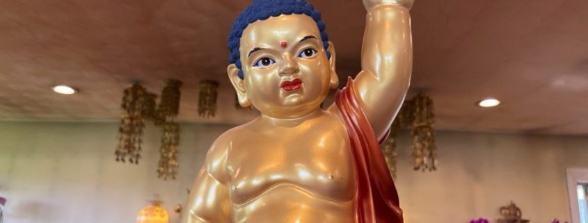 Buddha’s Birthday Festival