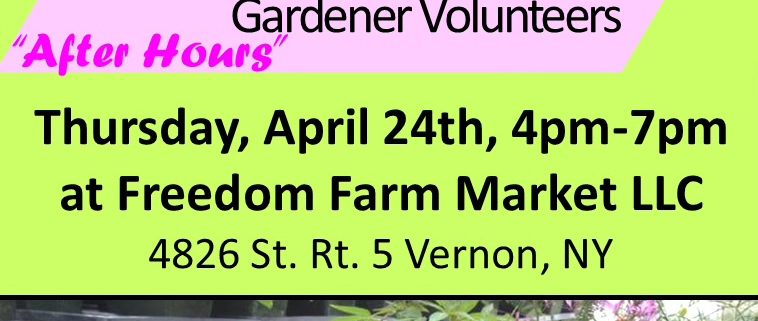 Learn Container Gardening with Oneida County Master Gardener Volunteers