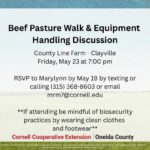 Beef Pasture Walk