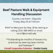 Beef Pasture Walk