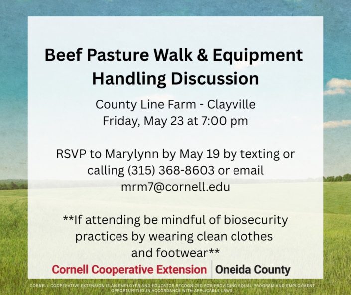 Beef Pasture Walk