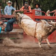 Paradise Ranch Bull Riding Barrels and More 2025