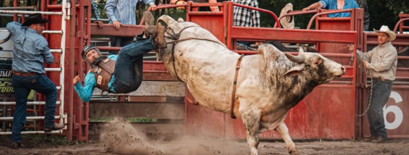 Paradise Ranch Bull Riding Barrels and More 2025
