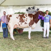 76th Annual Fenimore Farm Junior Livestock Show
