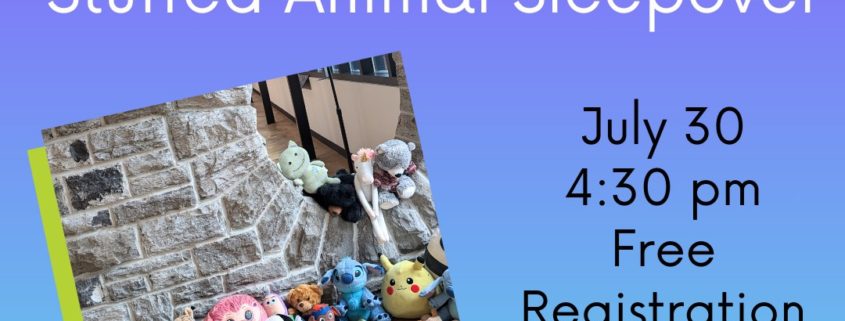 Stuffed Animal Sleepover