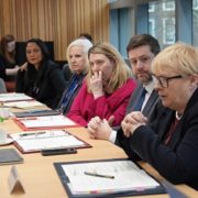 Description: Local Government Source: Wiki Commons