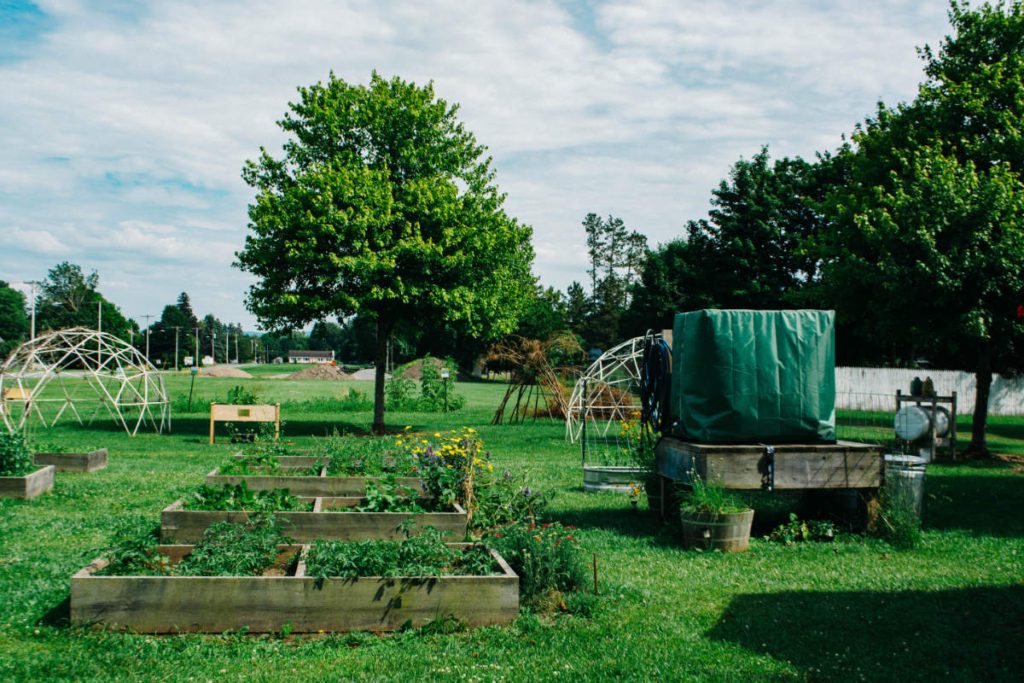 Frankfort Community Garden Frankfort Community Garden