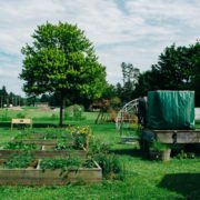 Frankfort Community Garden