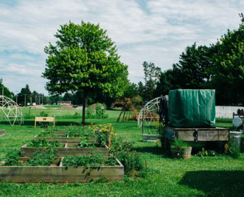 Frankfort Community Garden