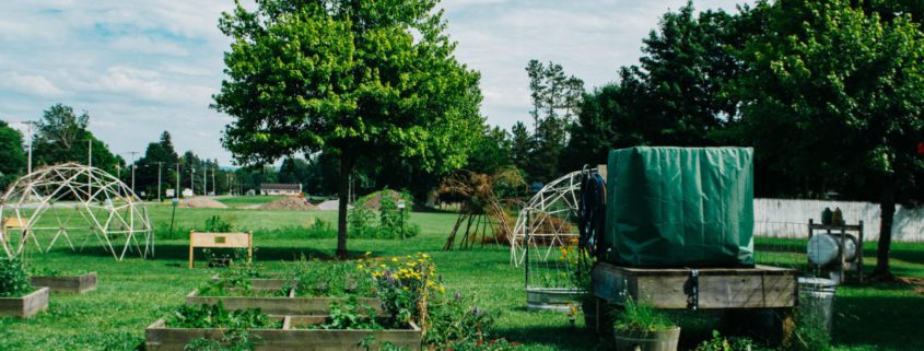 Frankfort Community Garden
