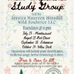 Wild Infusions Study Group