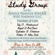 Wild Infusions Study Group