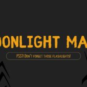 Moonlight Maze at Timmerman Farm