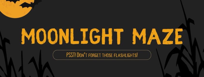 Moonlight Maze at Timmerman Farm