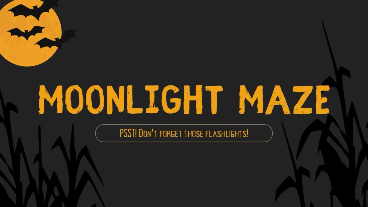 Moonlight Maze