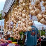 Mohawk Valley Garlic and Herb Festival, Canal Place, Little Falls, NY. Photography by Sarah Rogers.