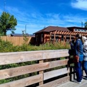 Gloversville Trail Station Park added to NYS Bird Trail