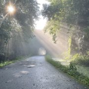 Photo: 1st Place, Along the Trail, Morning Glory (Little Falls) by Corey Adams, Little Falls, NY
