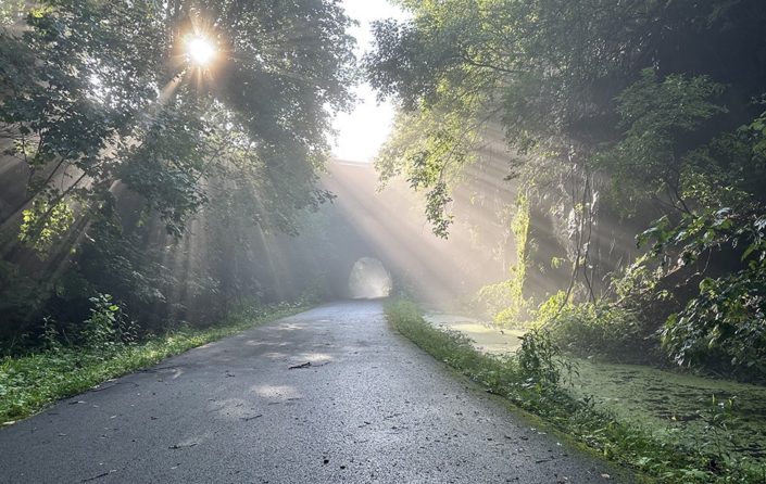 Photo: 1st Place, Along the Trail, Morning Glory (Little Falls) by Corey Adams, Little Falls, NY