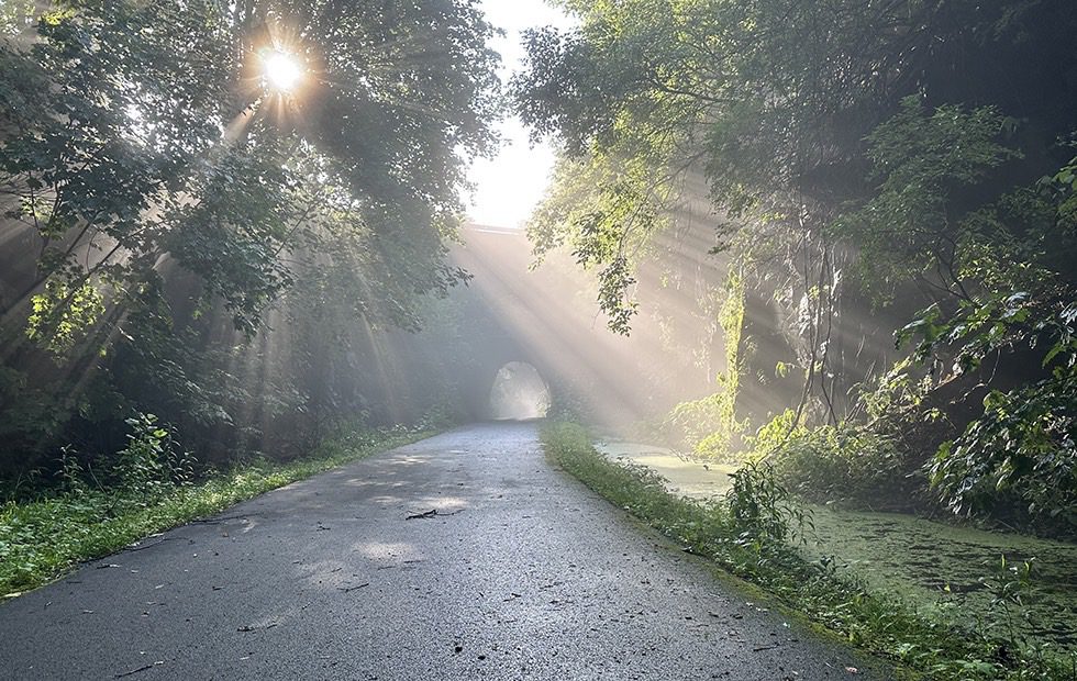 Photo: 1st Place, Along the Trail, Morning Glory (Little Falls) by Corey Adams, Little Falls, NY