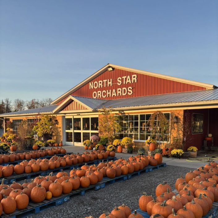 North Star Orchards North Star Orchards
