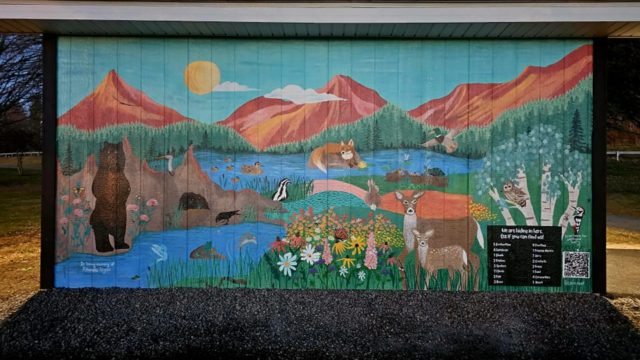 Forest Friends Seek and Find Mural