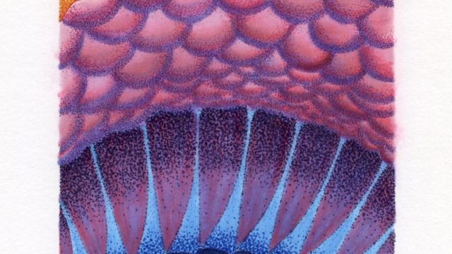 Sublimation [Pen and marker]