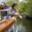 Students study water quality while on a field trip aboard the Riverie in Rochester. Erie Canalway National Heritage Corridor will expand the number of students taking field trips thanks to a grant from the National Park Foundation. Photo courtesy of the Erie Canalway National Heritage Corridor.