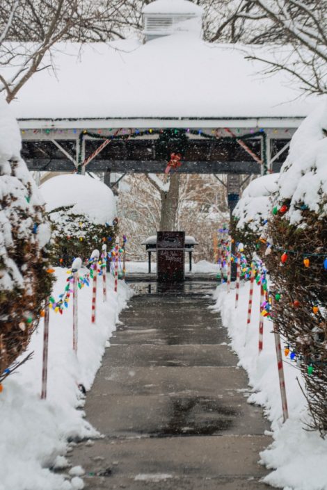 The Village of Frankfort seasonal decorations. Photo by Alexandra Tamburro. The Village of Frankfort seasonal decorations. Photo by Alexandra Tamburro.