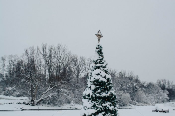 The Village of Frankfort seasonal decorations. Photo by Alexandra Tamburro. The Village of Frankfort seasonal decorations. Photo by Alexandra Tamburro.