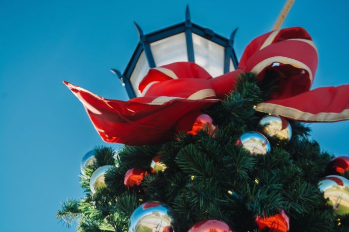 The Village of Frankfort seasonal decorations. Photo by Alexandra Tamburro. The Village of Frankfort seasonal decorations. Photo by Alexandra Tamburro.