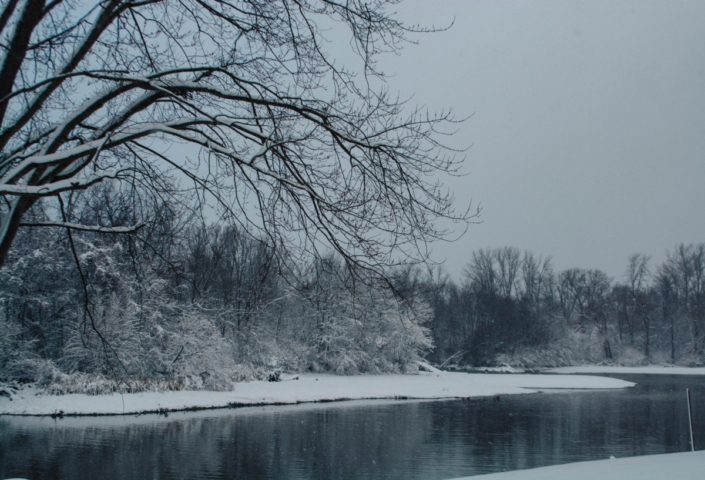 The Village of Frankfort seasonal decorations. Photo by Alexandra Tamburro. The Village of Frankfort seasonal decorations. Photo by Alexandra Tamburro.