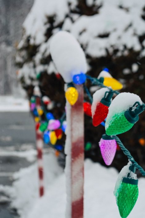 The Village of Frankfort seasonal decorations. Photo by Alexandra Tamburro. The Village of Frankfort seasonal decorations. Photo by Alexandra Tamburro.