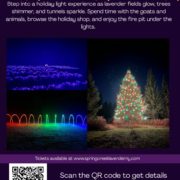 Springcreek Lavender and Lights 2025
