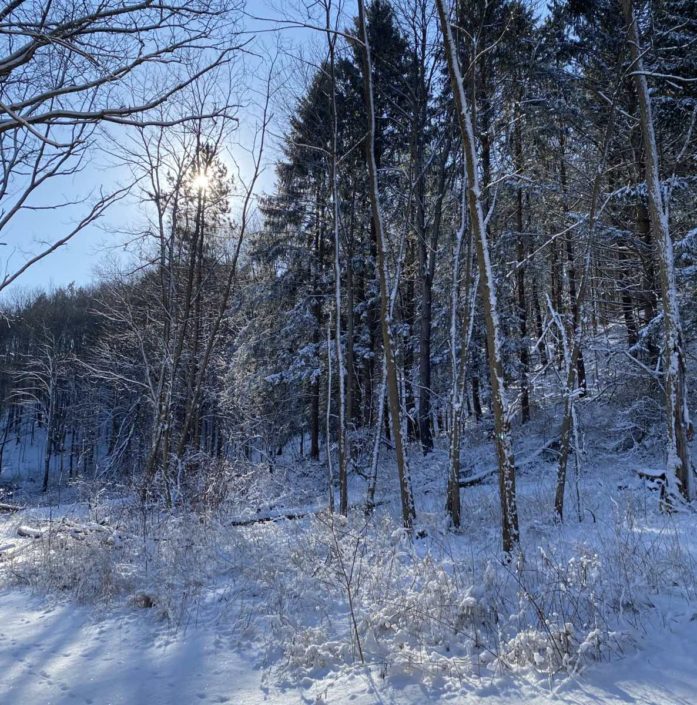 Parks and Trails Winter Sun rise