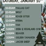 Utica Zoo Christmas Tree Repurposing Event