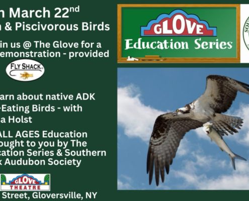 Adirondack Birds and fish Education Event