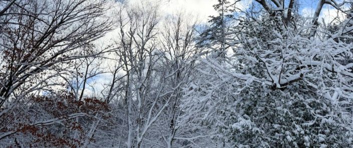 Mohawk Valley Today Featured Weekend Events