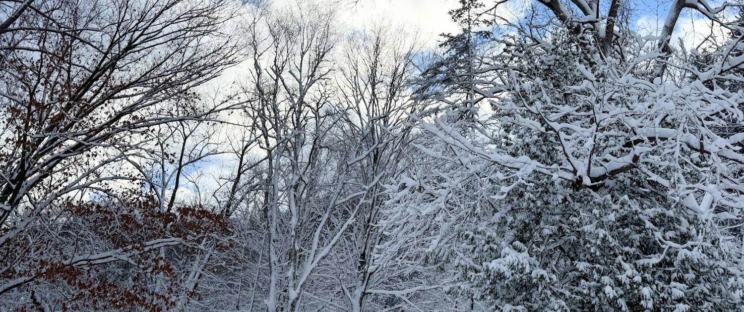 Mohawk Valley Today Featured Weekend Events