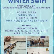 Amsterdam Winter Swim