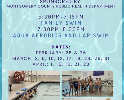 Amsterdam Winter Swim