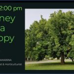 The Journey of a Canopy with Michael Mahanna