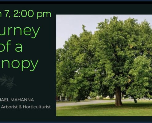 The Journey of a Canopy with Michael Mahanna