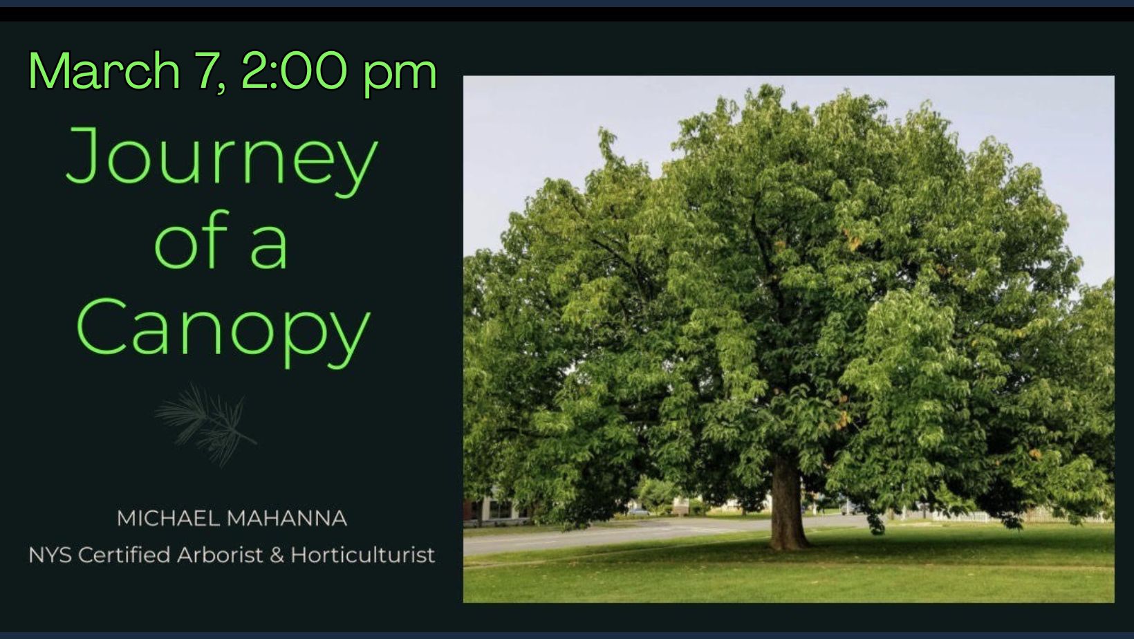 The Journey of a Canopy with Michael Mahanna