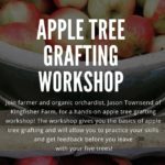 Apple Tree Grafting Workshop