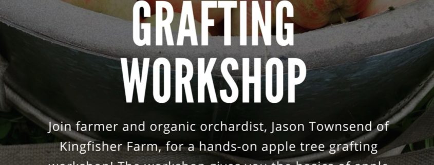 Apple Tree Grafting Workshop