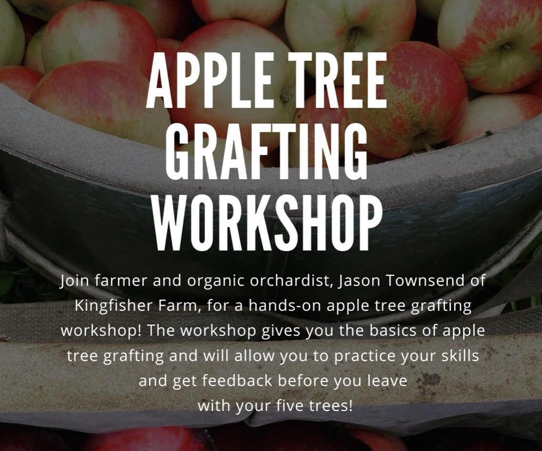 CCE Oneida County Apple Grafting Workshop